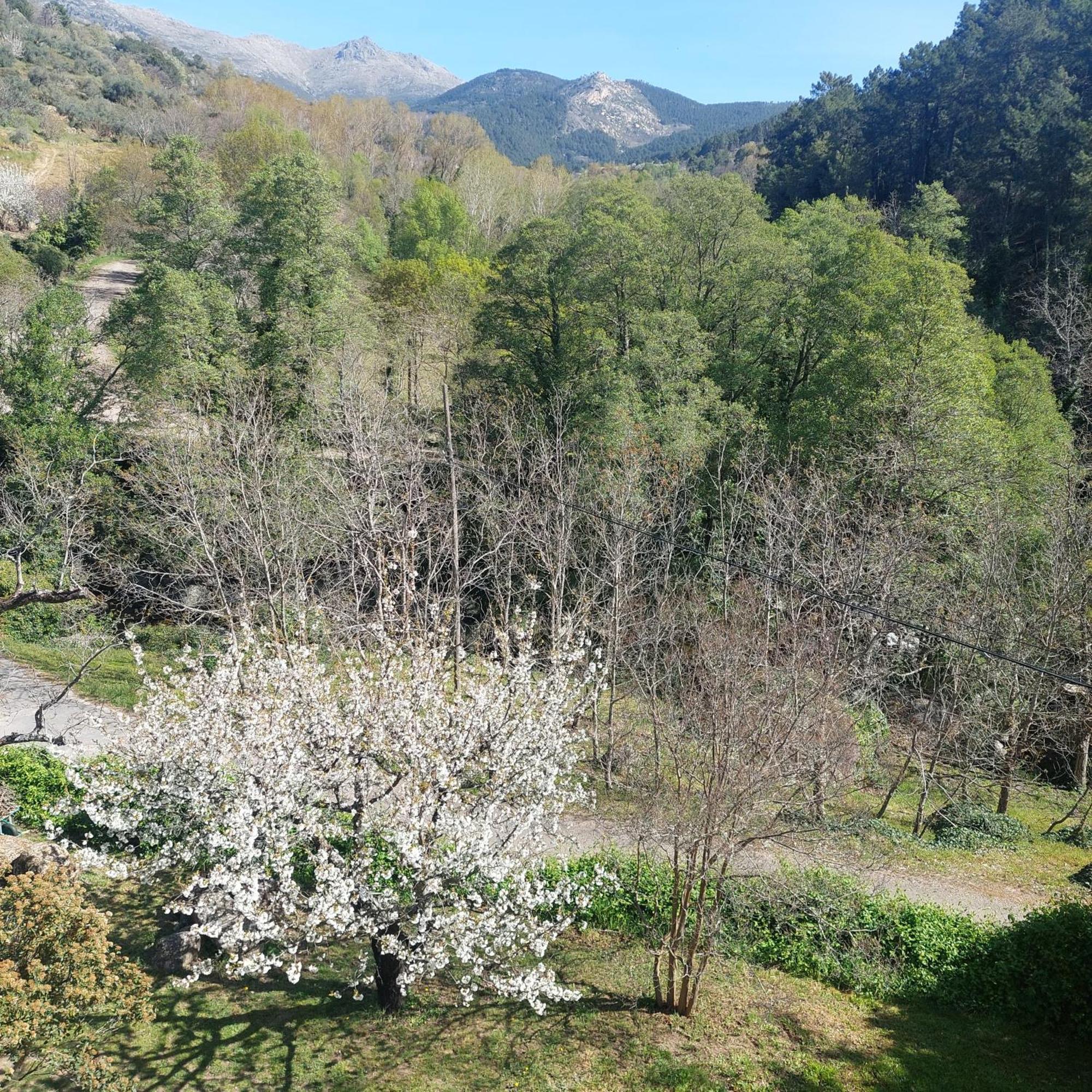 Puente Canto de Gredos Arenas de San Pedro Exterior foto
